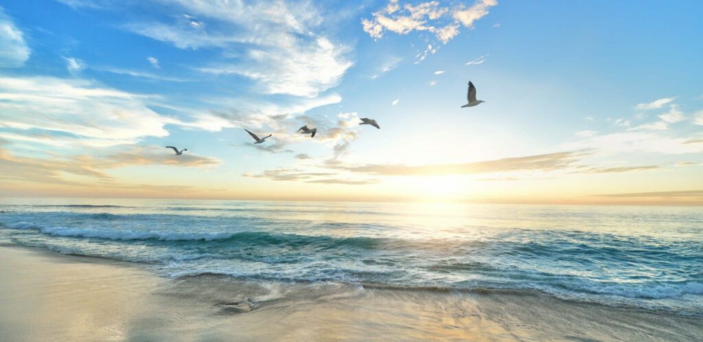 Self-Love vs. Self-Care: Building Self-Esteem in Recovery on the Treasure Coast sunrise beach e1772053107610